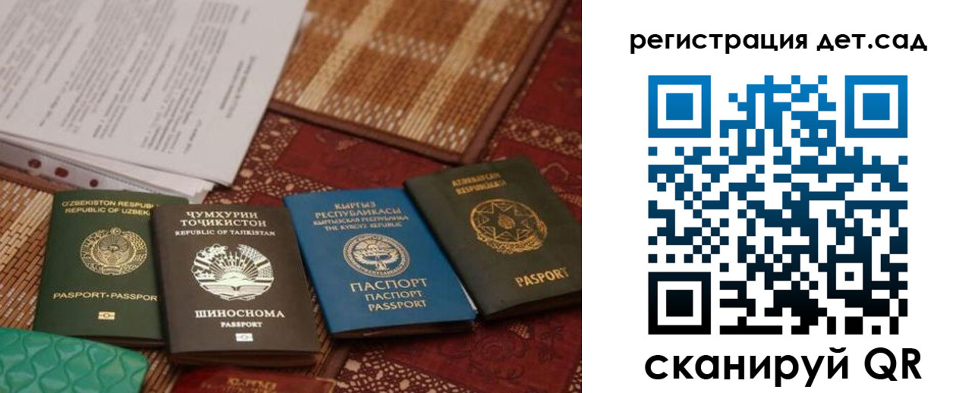 прописка в Светлом